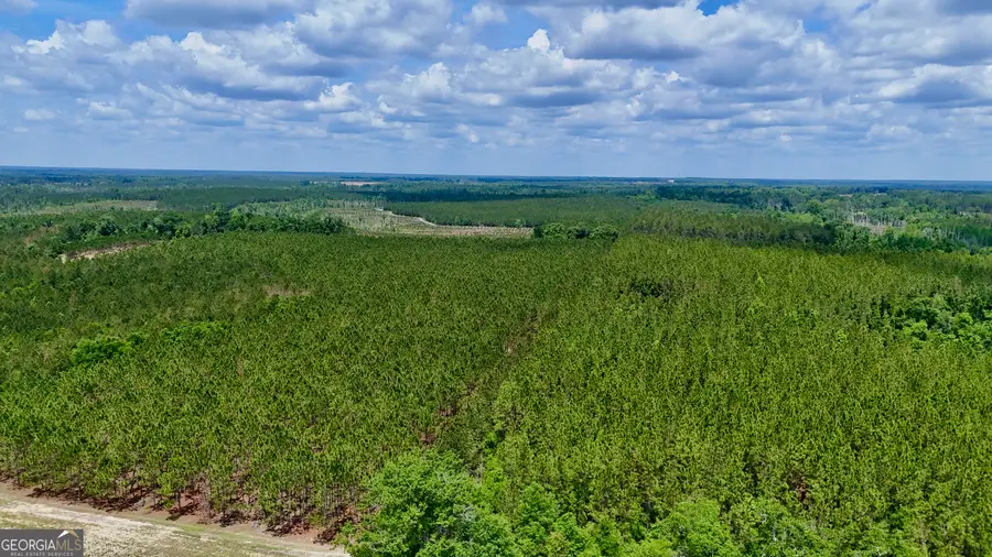 0 Neily Wagon Road, McRae-helena, GA 31055 - #3