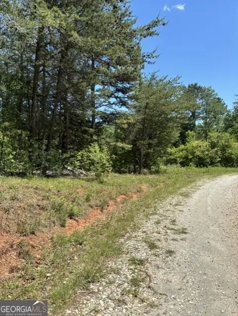 7.66 ACS Keener Road, Toccoa, GA 30577 - #3