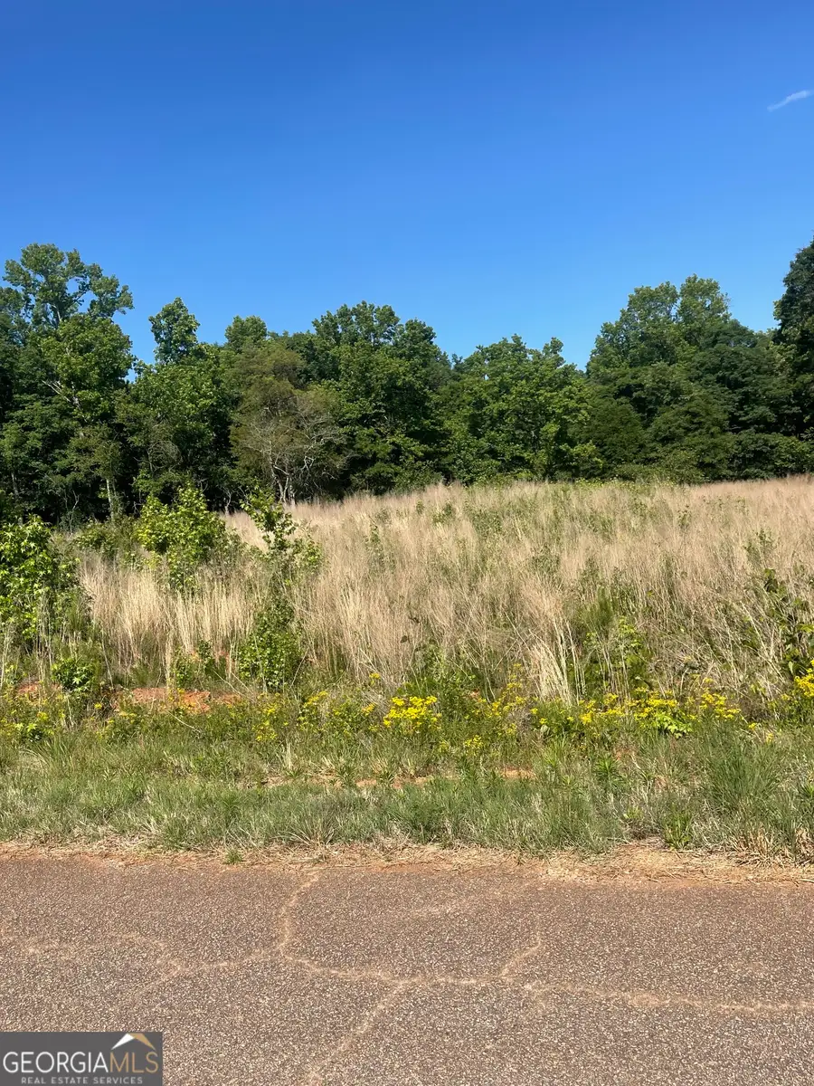 LOT 13 D Nails Creek Crossing, Royston, GA 30662 - #3