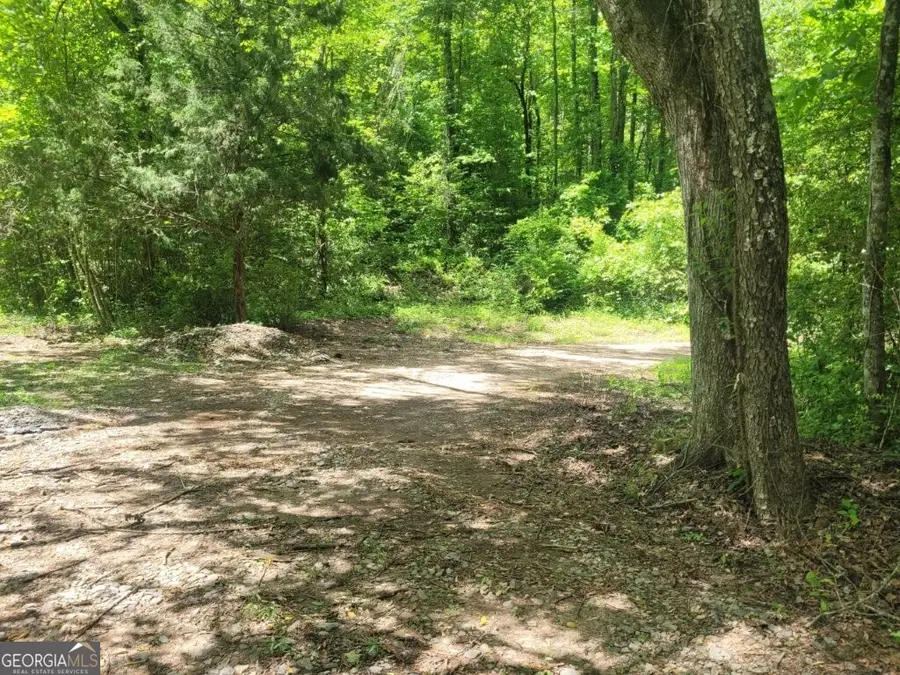 251 Bean Creek Road, Sautee Nacoochee, GA 30571 - #2