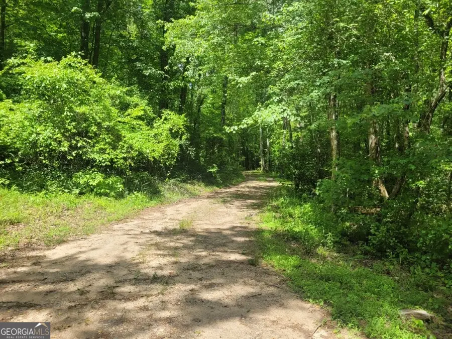 251 Bean Creek Road, Sautee Nacoochee, GA 30571 - #3