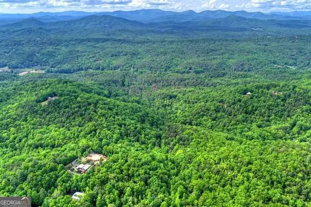 28.4 AC Black Dog Trail, Blue Ridge, GA 30513 - #1