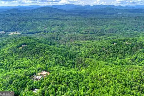 28.4 AC Black Dog Trail, Blue Ridge, GA 30513