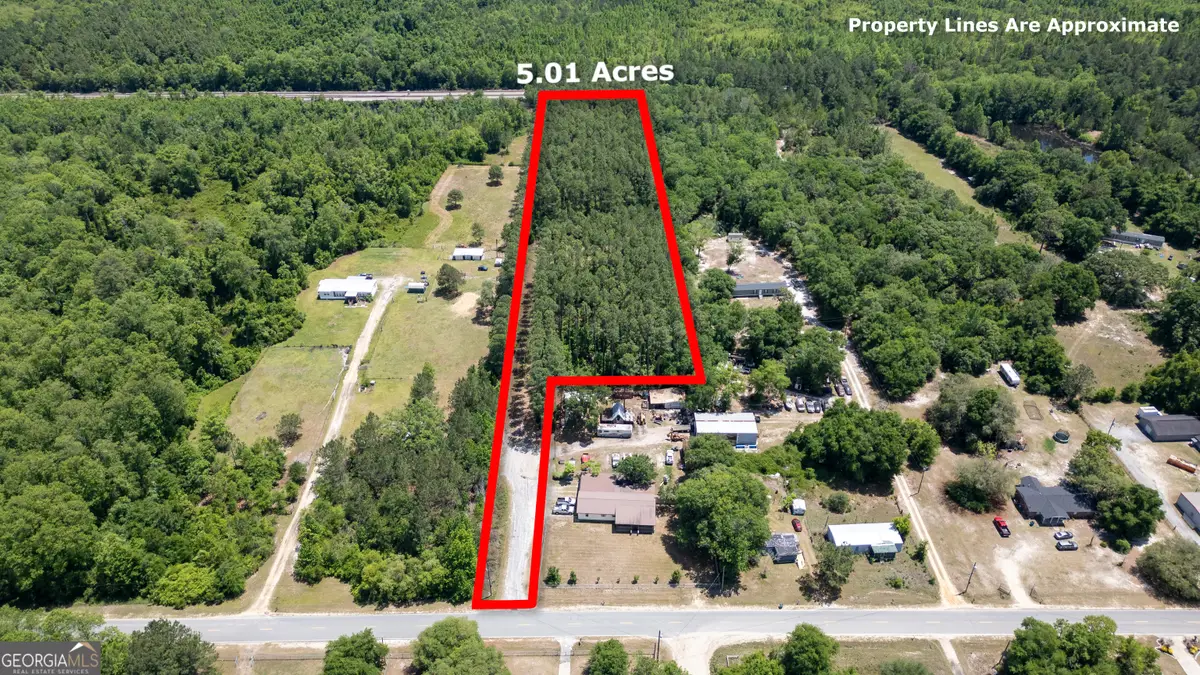 1352 Old Doctortown Road, Jesup, GA 31545 - #1