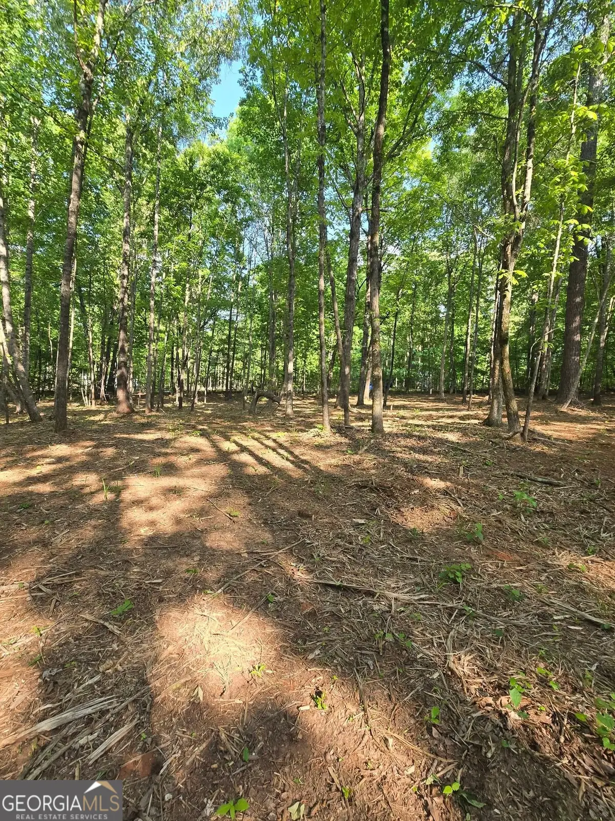 135 Lakeshore Drive, Eatonton, GA 31024 - #1