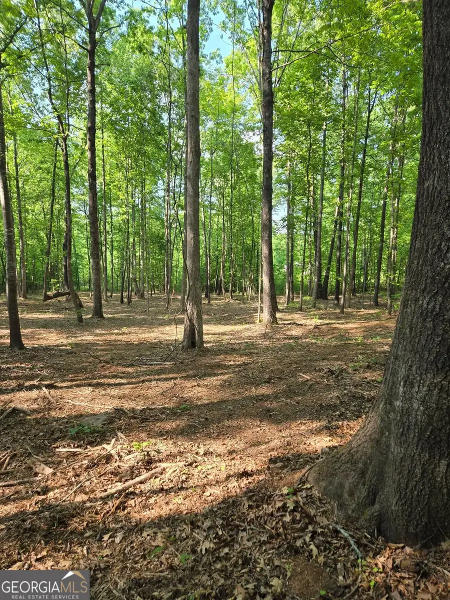 135 Lakeshore Drive, Eatonton, GA 31024 - #3