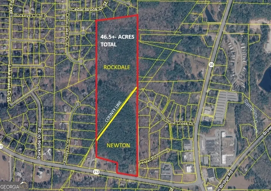 7188 Highway 212, Covington, GA 30016 - #1