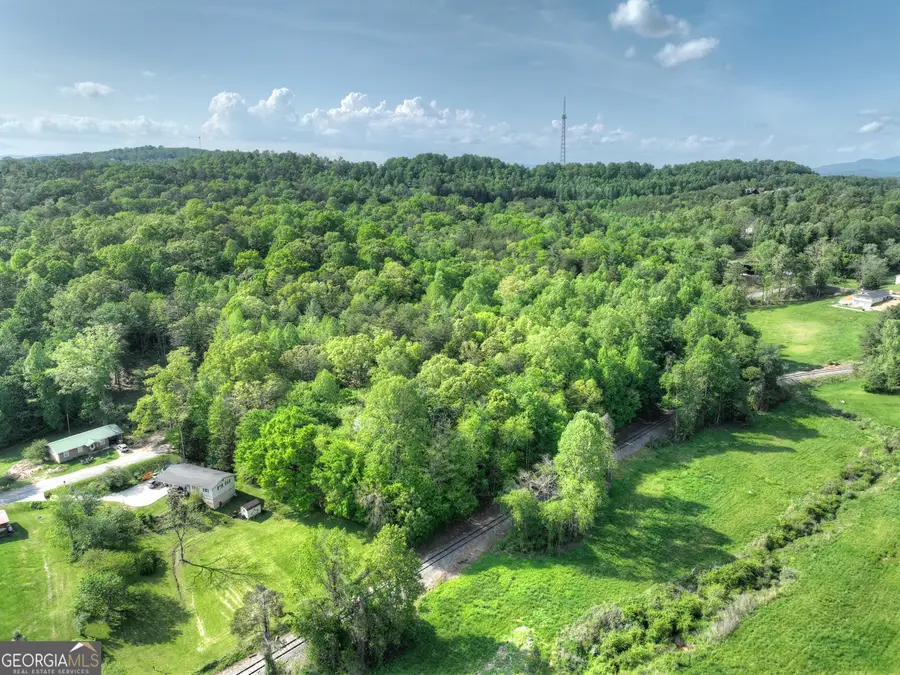 6.74 Doxol Street, Blue Ridge, GA 30513 - #2