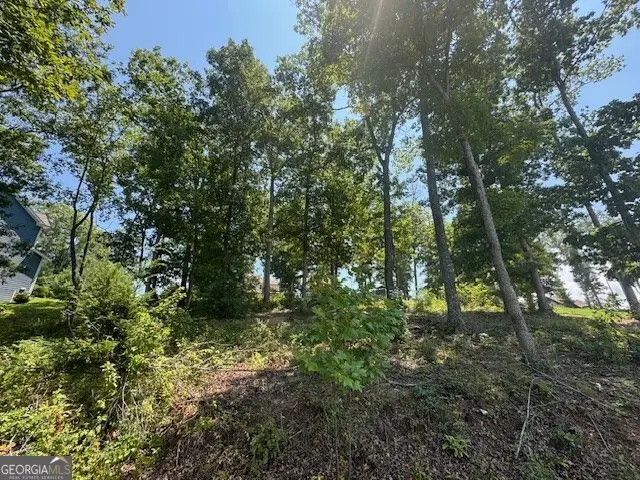 LOT 5 Hunter Lane, Blairsville, GA 30512 - #2