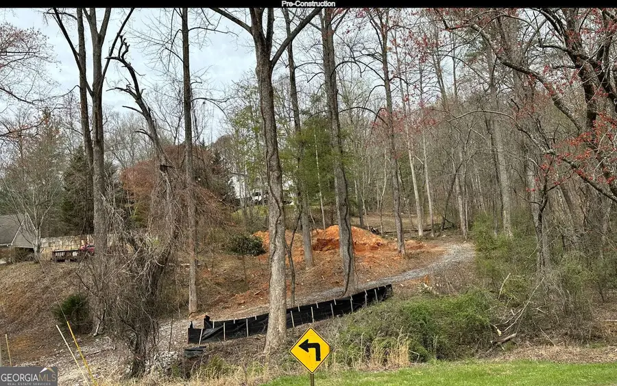 0 Circle Drive, Morganton, GA 30560 - #2