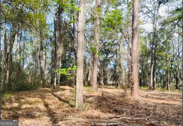 0 W Black Island Road Se, Darien, GA 31305