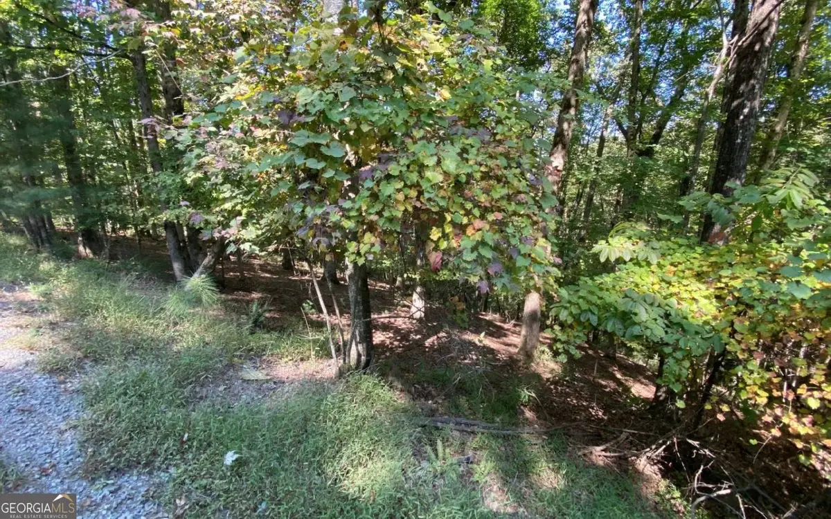 266 Myna Drive, Ellijay, GA 30540 - #1