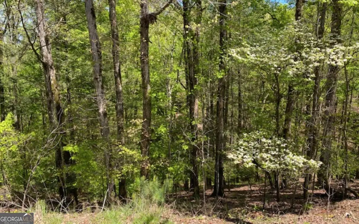 254 Myna Drive, Ellijay, GA 30540 - #1