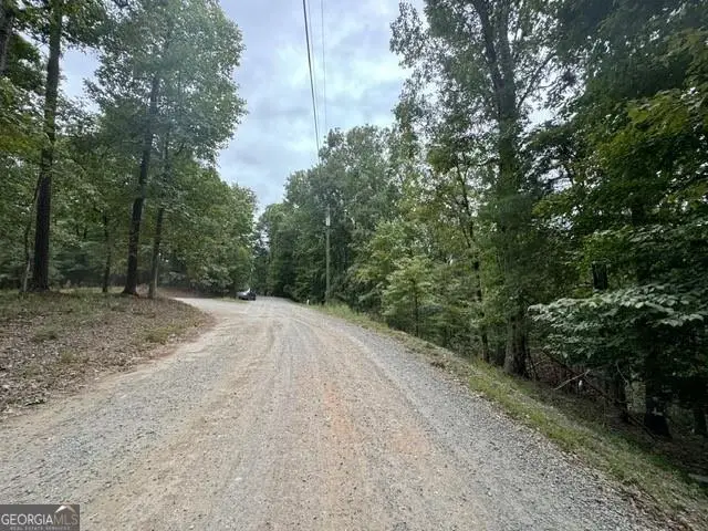 254 Myna Drive, Ellijay, GA 30540 - #3