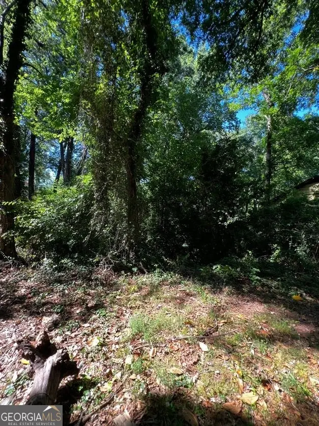 0 Dalton Street Se, Atlanta, GA 30315 - #1