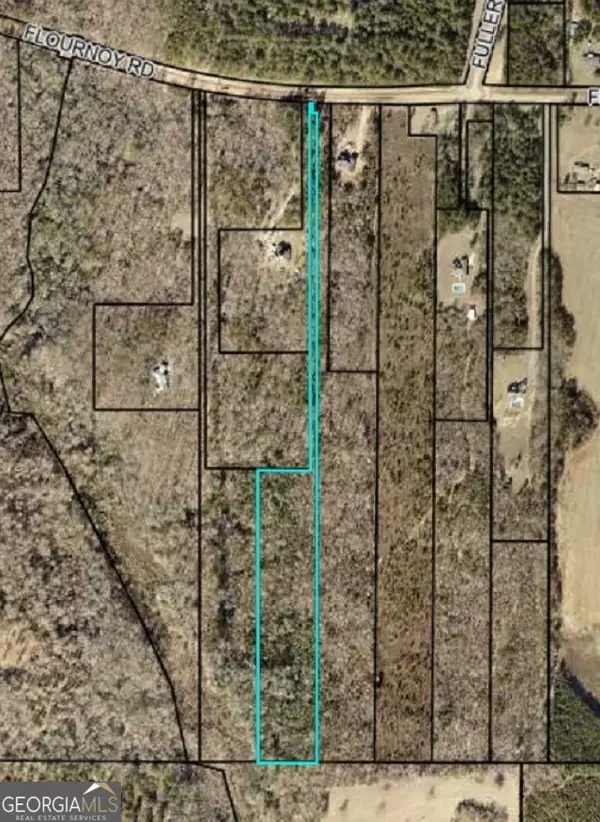 0 Flournoy Road, Hawkinsville, GA 31036