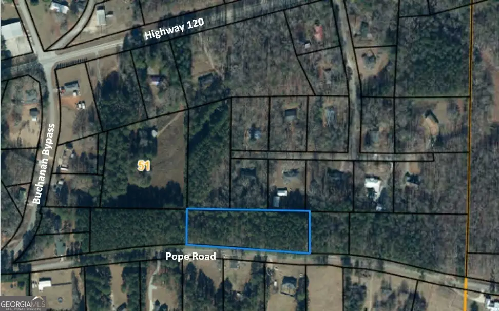 LOTS 4 & 5 Pope Road, Buchanan, GA 30113 - #1