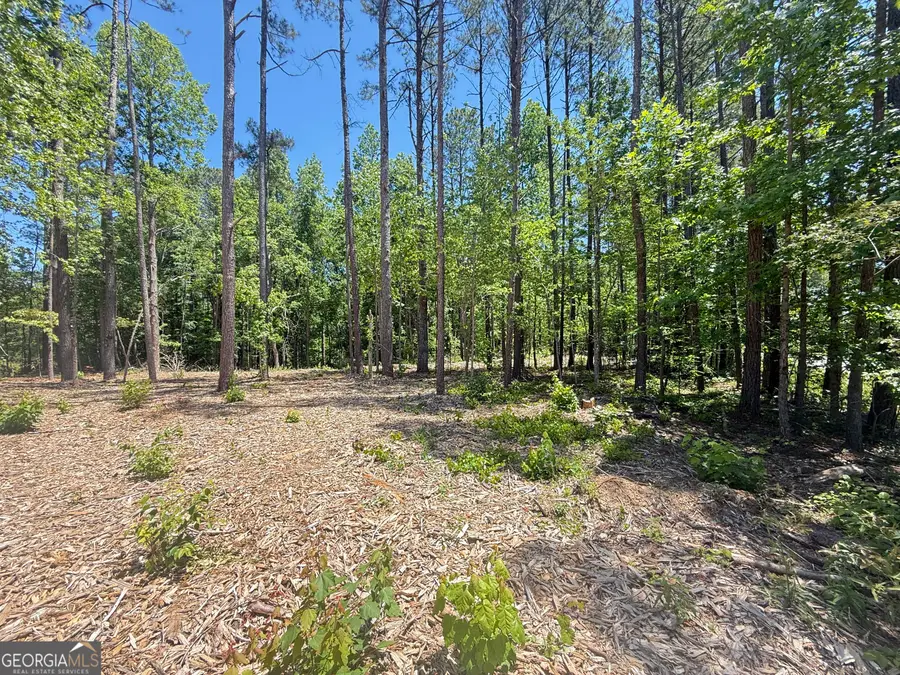 LOTS 4 & 5 Pope Road, Buchanan, GA 30113 - #3