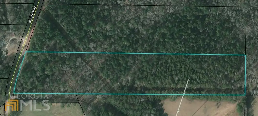 0 Witcher Road #14.23+/- AC, Newnan, GA 30263 - #1
