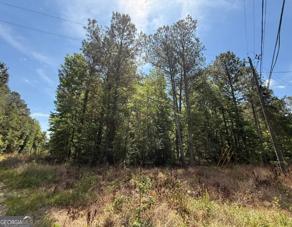 467 N Raburn Road, Bremen, GA 30110 - #1