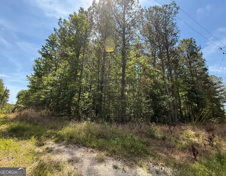 467 N Raburn Road, Bremen, GA 30110 - #2
