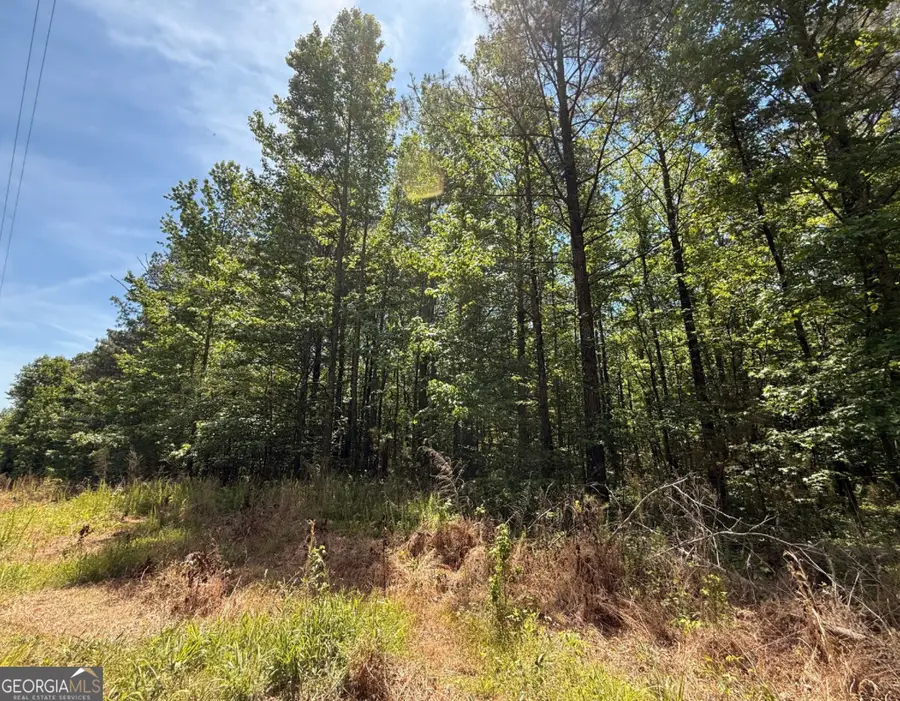 467 N Raburn Road, Bremen, GA 30110 - #3