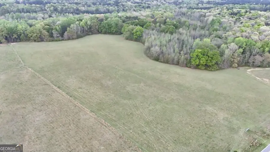48.04 ACRES Caldwell Rd, Zebulon, GA 30295 - #2