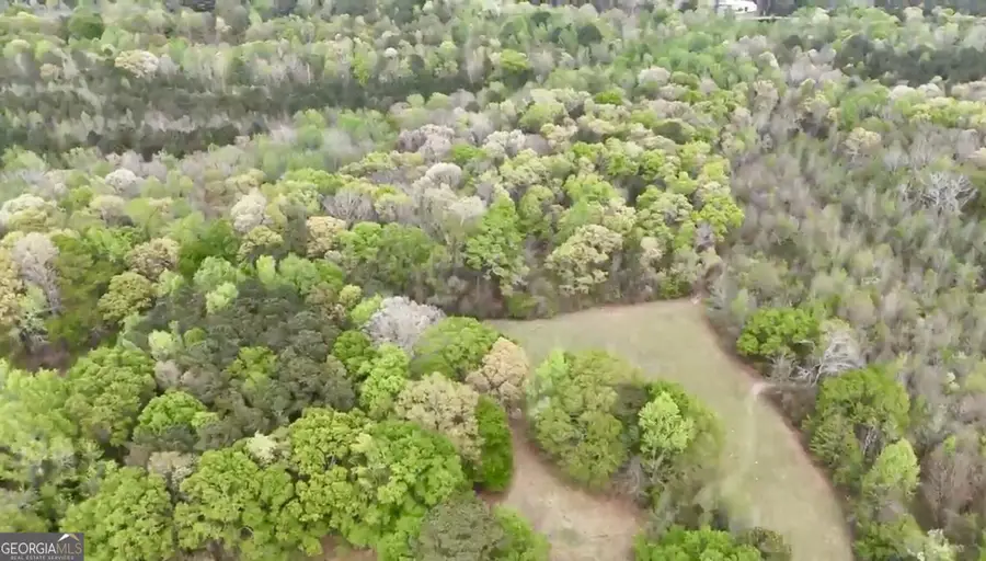 48.04 ACRES Caldwell Rd, Zebulon, GA 30295 - #3