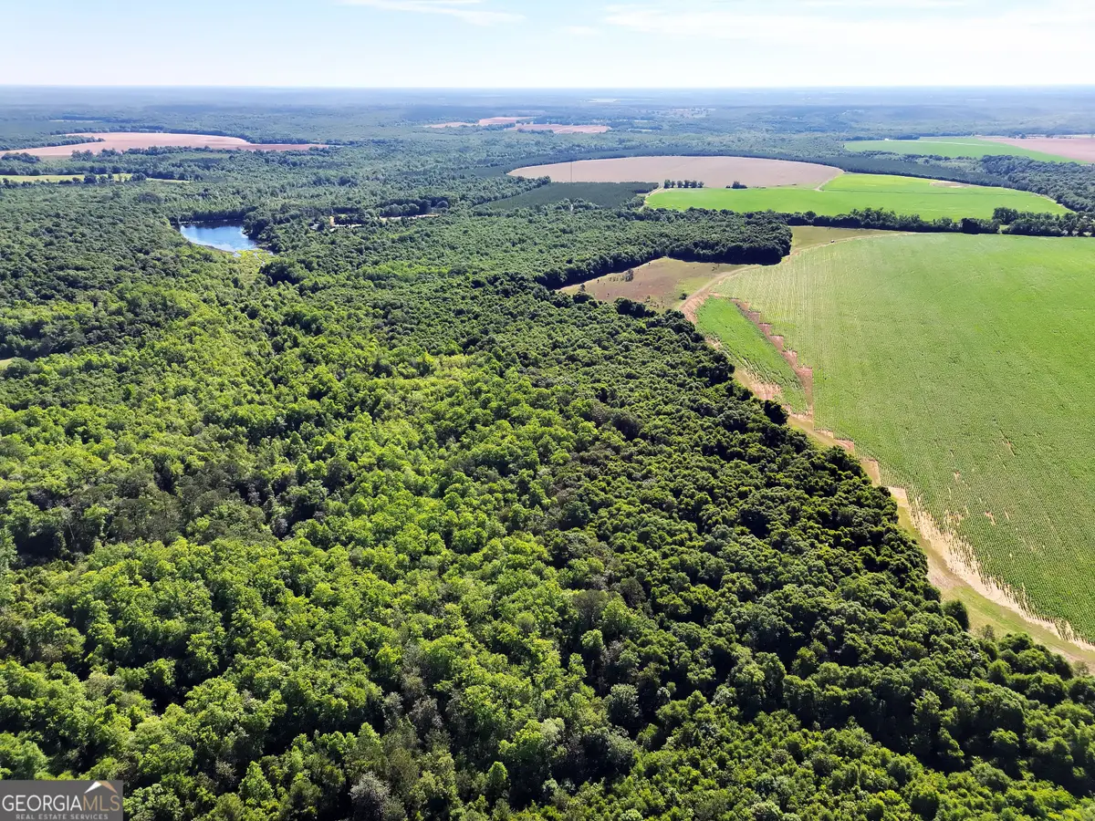 2415 E Us Hwy 82, Shellman, GA 39886 - #1
