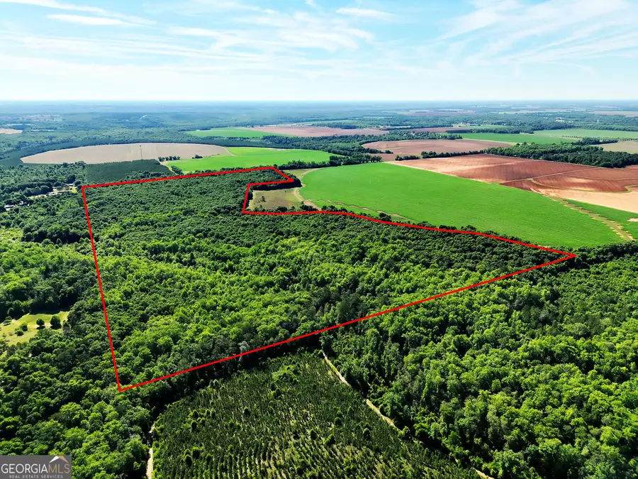 2415 E Us Hwy 82, Shellman, GA 39886 - #2