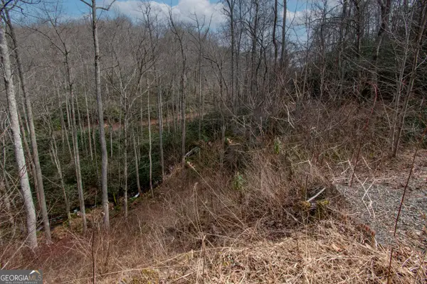 0 Walnut Cove Branch Road, Robbinville, NC 28771