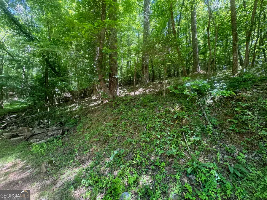 0 Bible Baptist, Ellijay, GA 30536 - #3