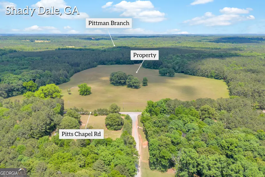 0 Pitts Chapel Road, Monticello, GA 31064 - #3