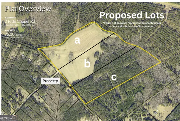 0 LOT A Pitts Chapel Road, Monticello, GA 31064
