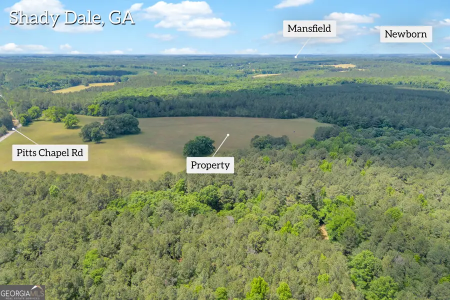 0 LOT C Pitts Chapel Road, Monticello, GA 31064 - #2