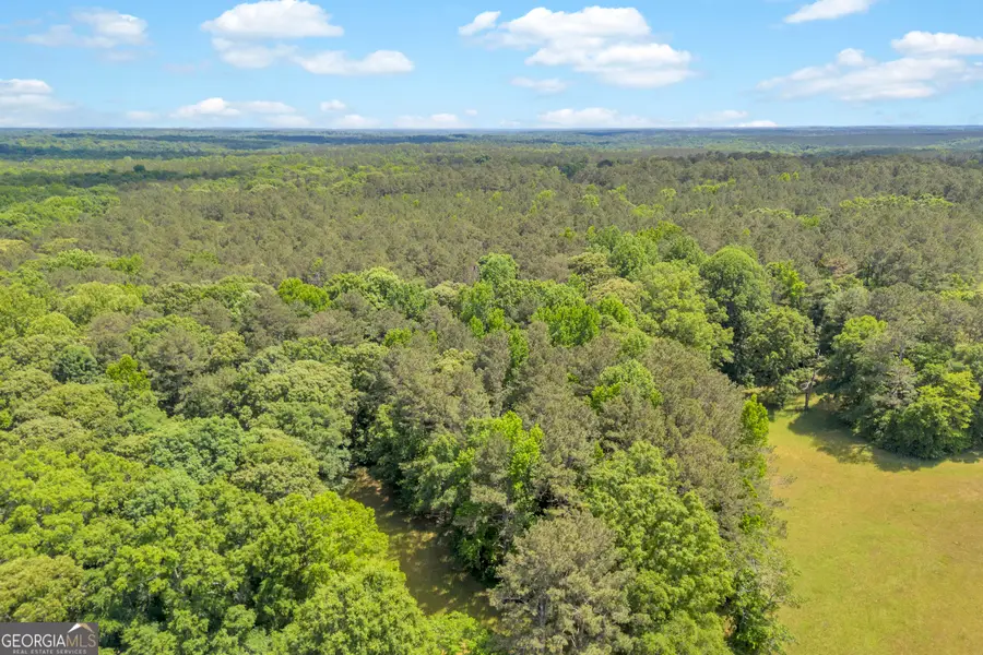 0 LOT C Pitts Chapel Road, Monticello, GA 31064 - #3