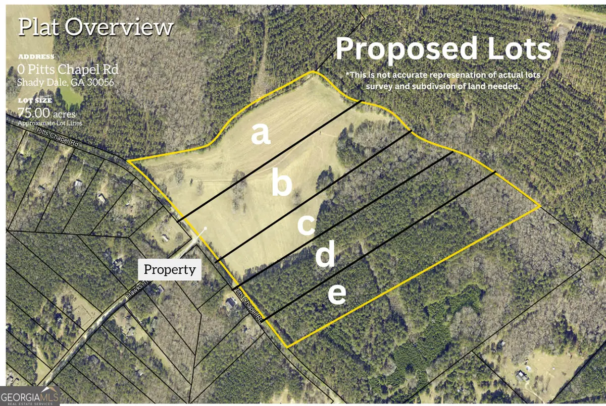 LOT C 0 Pitts Chapel Road, Monticello, GA 31064 - #1