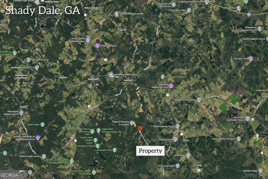 LOT C 0 Pitts Chapel Road, Monticello, GA 31064 - #2