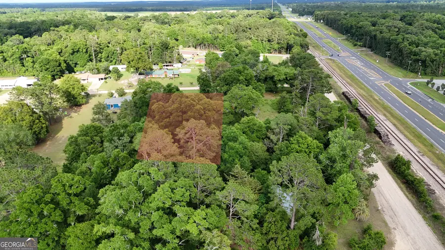 .75 ACRE Butler Street, Bainbridge, GA 39817 - #3