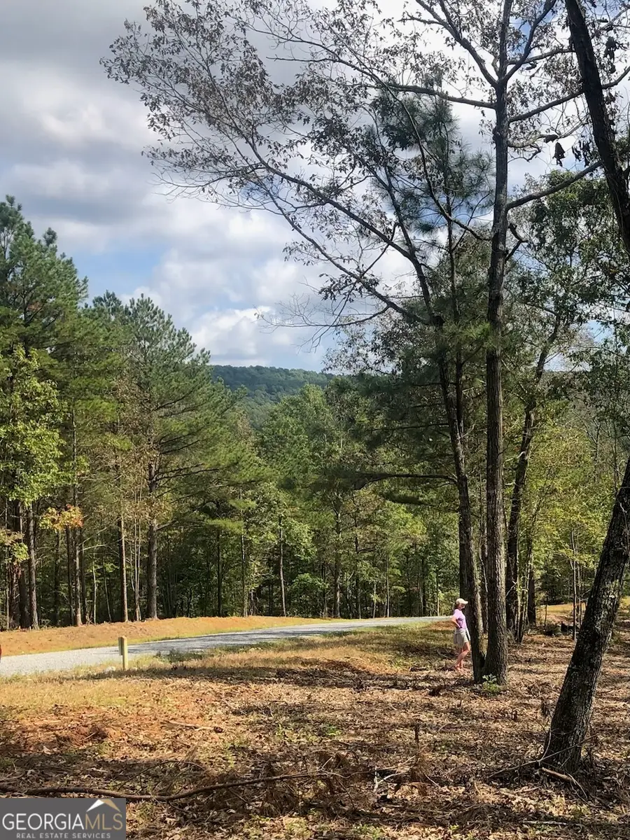LT 90 Barrel Knot Court, Ellijay, GA 30536 - #3