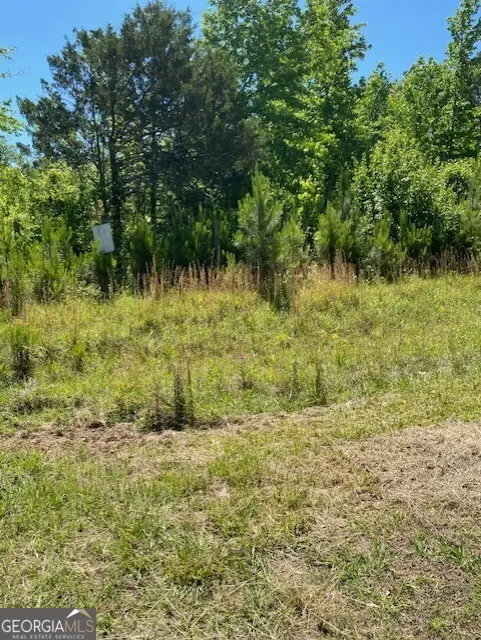 1730 N Walkers Mill Road, Griffin, GA 30223 - #3