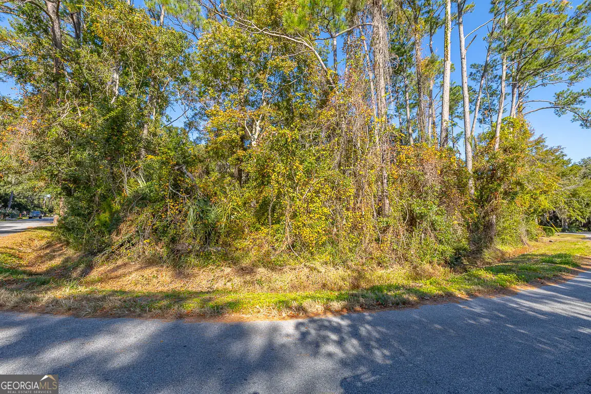 133 Helmich Drive, Brunswick, GA 31525 - #1