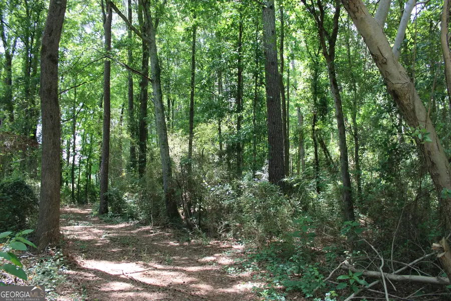 1 Neese Commerce Road, Commerce, GA 30529 - #2