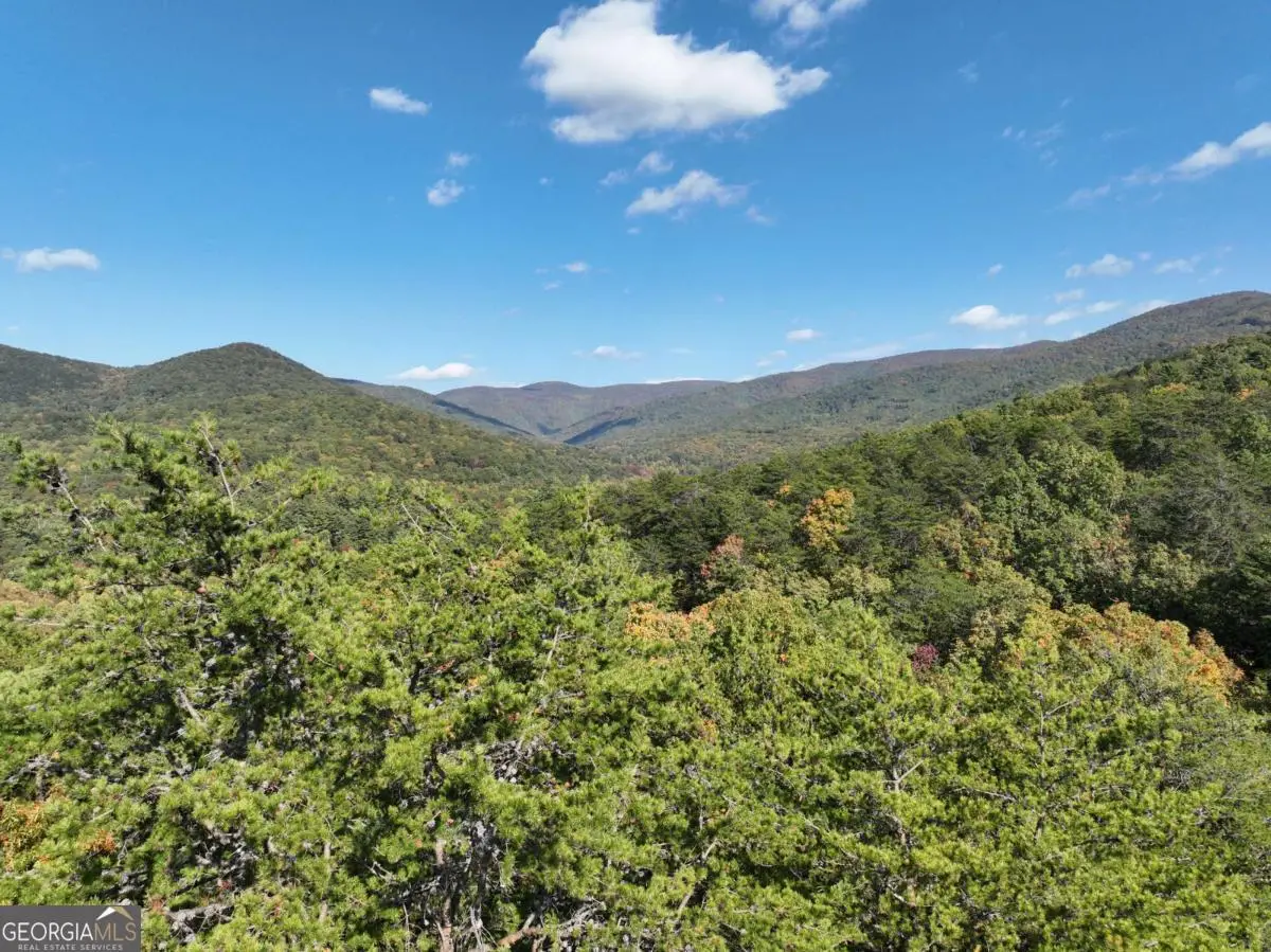 3A Turniptown Road, Ellijay, GA 30536 - #1