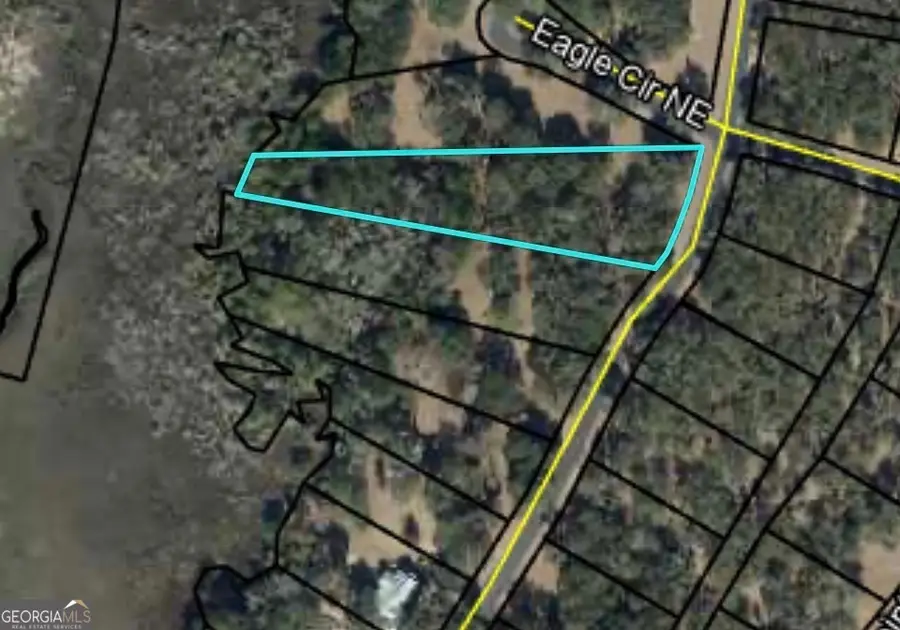 LOT 241 Coopers Landing Drive Ne, Townsend, GA 31331 - #2