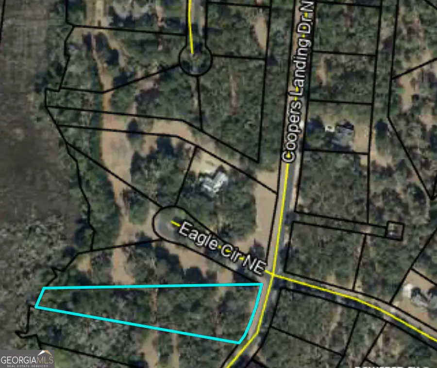 LOT 241 Coopers Landing Drive Ne, Townsend, GA 31331 - #3