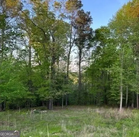 1628 Alcovy Ridge Crossing Crossing, Loganville, GA 30052 - #2