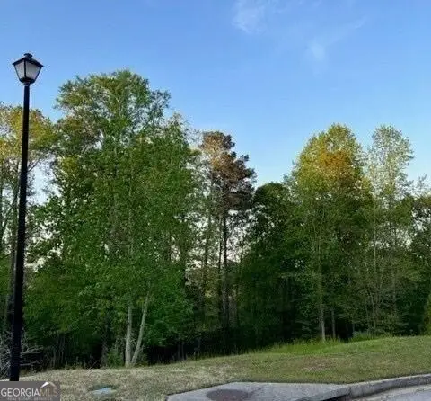 1628 Alcovy Ridge Crossing Crossing, Loganville, GA 30052 - #3
