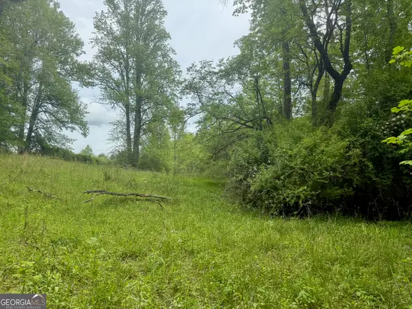 LOT 9 Peach Orchard Way, Tiger, GA 30576