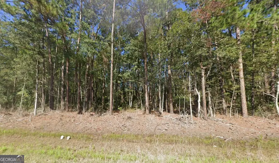 5201 Highway 32, Hortense, GA 31543 - #2